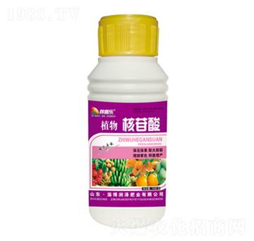 ƿ�bֲ�������-��(r��n)�ɷ�