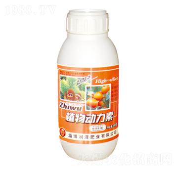 ֲ���(d��ng)����-��(r��n)�ɷʘI(y��)