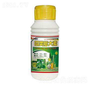 ��������-���՘�(l��)-��(r��n)