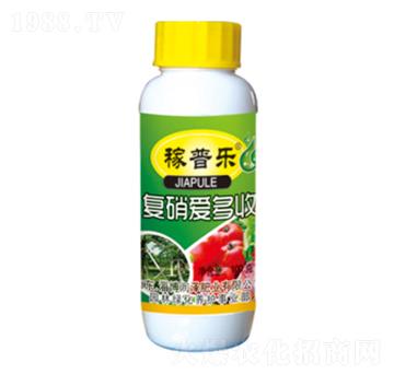 ��(f��)���۶���-���՘�(l��)-��(r��n)