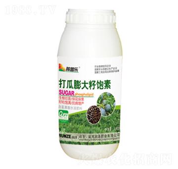 �����������-���՘�(l��)