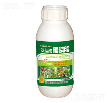 ƿ�b����������֬-��(r��n)��