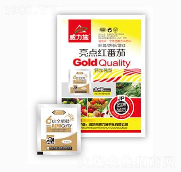 ���c�t����-����ʩ