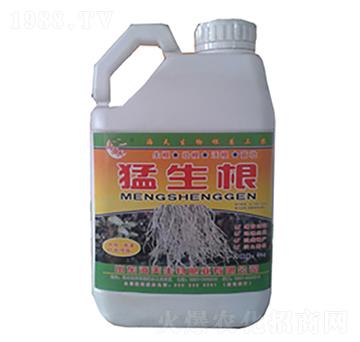 5公斤猛生根-海天生物