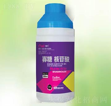 ���Ǻ�����-�|������