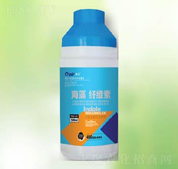 �����w�S��-�|������