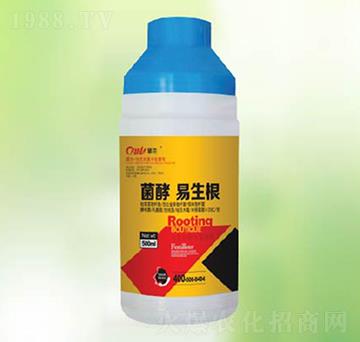 ����������-�|������