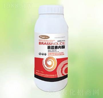 �|̦�؃�(n��i)��-�|������