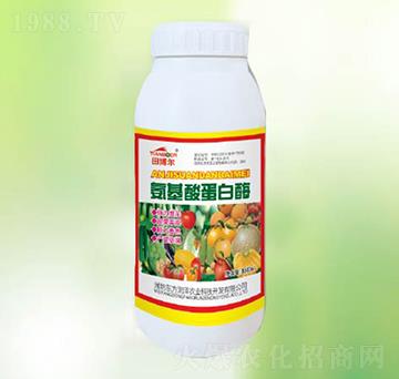 �����ᵰ��ø-�|������