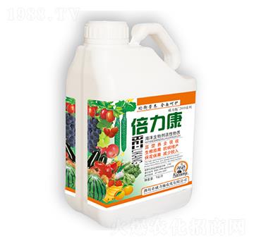 ������-����ʩ