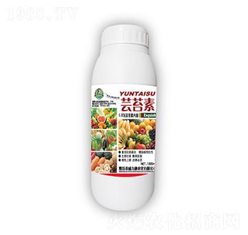 1000ml�|̦��-����ʩ