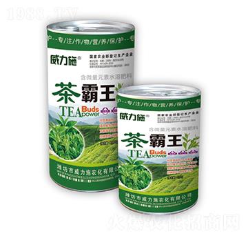 ��������b-����ʩ