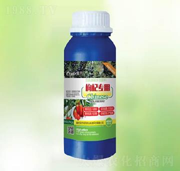 ��轌���-�|������