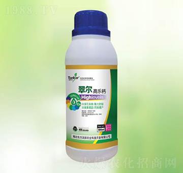 �䠖�ߘ�(l��)�}-�|����(r��n)��