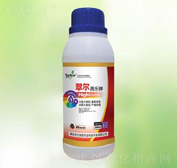 �䠖�ߘ�(l��)�-�|����(r��n)��