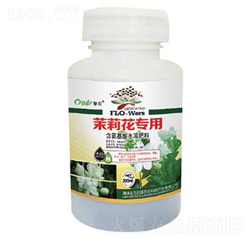 �~���(l��i)�������~���-�|����(r��n)��