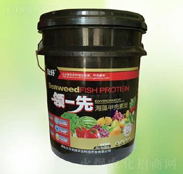 ����ך�����-�|������