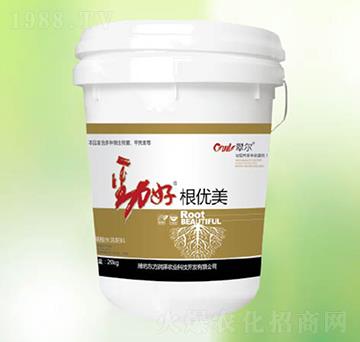 ����(y��u)��-�|����(r��n)��