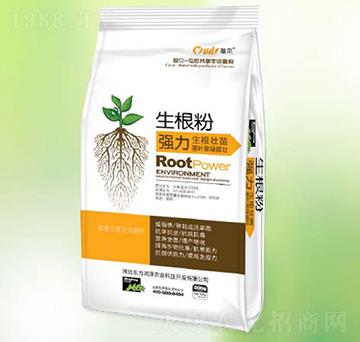 ������������-�|������