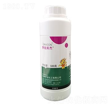 500g�ķ�����M��-��������-��������