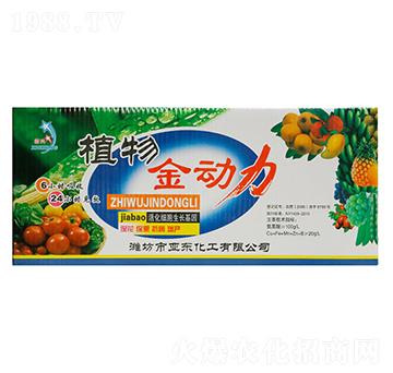 ֲ�������-���|����