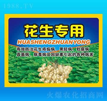 ������(zhu��n)�÷�-��������