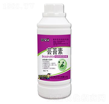 �|̦��-̩�_(d��)�r(n��ng)��