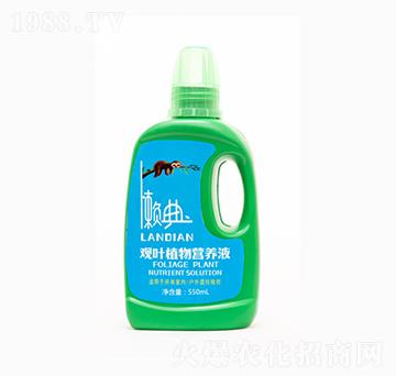 550ml�^�~ֲ��I�B(y��ng)Һ-���rʢԴ