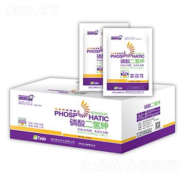 ��������-̩�_(d��)�r(n��ng)��