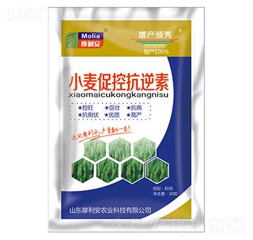 С���ٿؿ�����-Ħ����