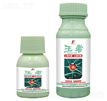 �������Ƅ�-�J�S����