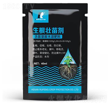 �������焩-�J�S����