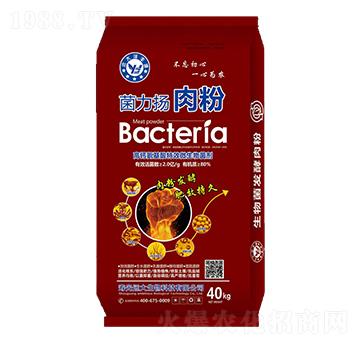 ���}������΢�������-�����P���-�h(yu��n)������