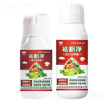 �M(j��n)��������-��ۃ�-�֠���(y��u)