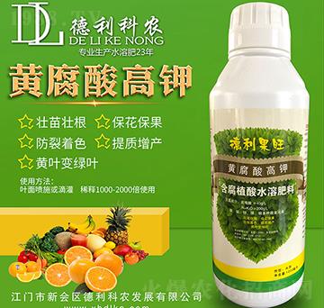 �S������-�������r