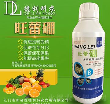 ������-�������r(n��ng)