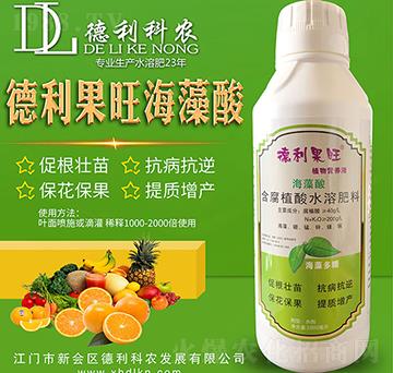 ��������������-�������r