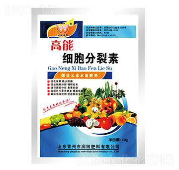 ���ܼ���������-�h�|����