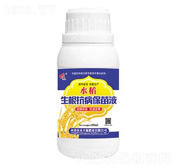 水稻生根抗病保苗液-禾豐源肥業(yè)