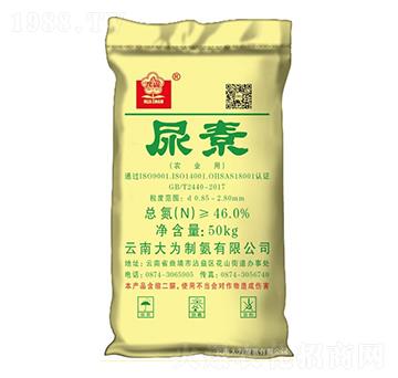 46%����-����ư�