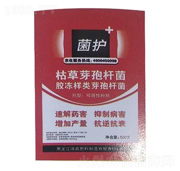 �ݲ�ѿ�ߗU��-���o(h��)-����