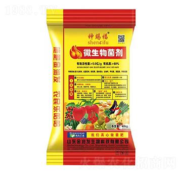 ��|��΢�������-���n��-��(r��n)�l(f��)����