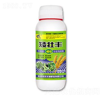 �����S-���SԴ�ʘI(y��)