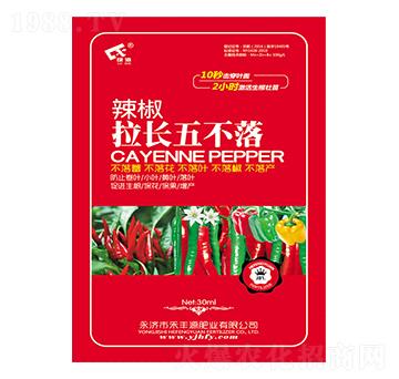 �������L�岻��-���SԴ�ʘI(y��)