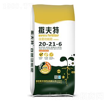 �������ܷ�20-21-6-������