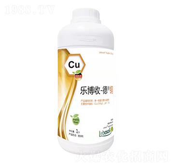 ������-���~-����