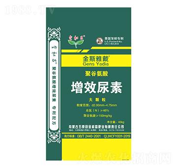 �۹Ȱ�����Ч���أ����w����-��˹�Ŵ�-��Ͳ�