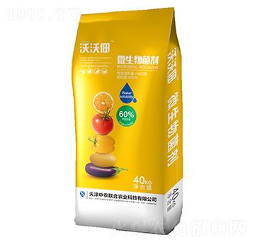 10�|΢�������-���ֵ�-���r(n��ng)(li��n)��