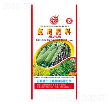 ������͏ͻ����11-