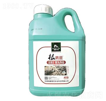 ������-����